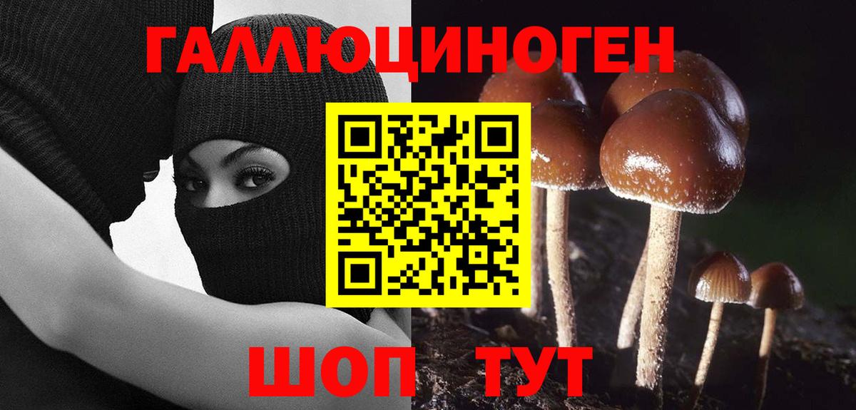 Галлюциногенные грибы GOLDEN TEACHER Вышний Волочёк